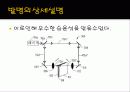 Frit으로 밀봉된 유리 패키지 12페이지