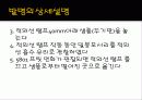 Frit으로 밀봉된 유리 패키지 16페이지