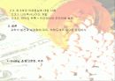 세계화와 제 3세계 의료환경 3페이지