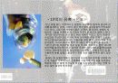 세계화와 제 3세계 의료환경 17페이지