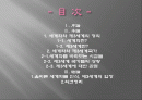 세계화의 올바른 길-제3세계의 선택 2페이지