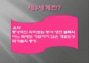 세계화의 올바른 길-제3세계의 선택 6페이지