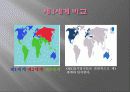 세계화의 올바른 길-제3세계의 선택 9페이지
