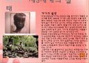 세계화와 제3세계 의료현실 11페이지
