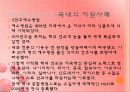 세계화와 제3세계 의료현실 23페이지