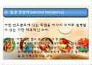 교육평가 1 7페이지