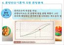 교육평가 1 30페이지