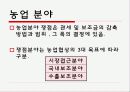 도하개발어젠다_정리[1][1]. 13페이지