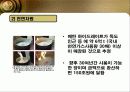 독도의 가치 7페이지