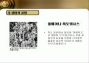 독도의 가치 8페이지