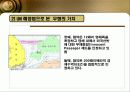 독도의 가치 15페이지