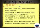 러시아 경제  6페이지