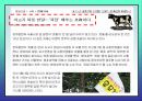 촛불시위에 관련된 각 집단별 입장 13페이지