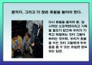 촛불시위에 관련된 각 집단별 입장 17페이지