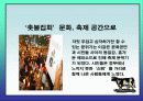 촛불시위에 관련된 각 집단별 입장 19페이지