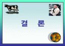 촛불시위에 관련된 각 집단별 입장 34페이지