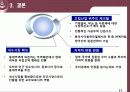 말레이시아수출시장 17페이지