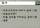 문화 이론_촛불 집회에 관해서  2페이지