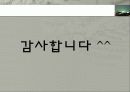 문화 이론_촛불 집회에 관해서  11페이지