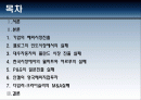 다국적 기업의 실패사례 2페이지