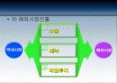 다국적 기업의 실패사례 6페이지