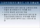 다국적 기업의 실패사례 20페이지