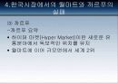 다국적 기업의 실패사례 36페이지