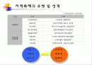 한국 지역축제의 경제적 실효성 4페이지