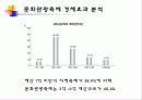 한국 지역축제의 경제적 실효성 12페이지