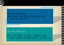 다국적기업의 프로모션전략 6페이지