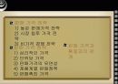 다국적기업의 프로모션전략 17페이지