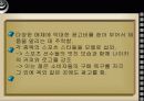 다국적기업의 프로모션전략 21페이지