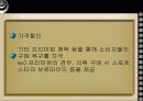 다국적기업의 프로모션전략 27페이지