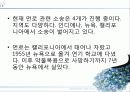 출판과 저작권 (초상권, 저작권) 30페이지