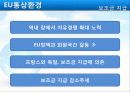 EU의 통상환경 19페이지