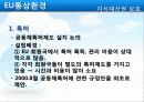 EU의 통상환경 21페이지