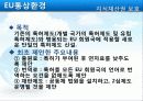 EU의 통상환경 23페이지