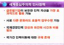 다국적 기업의 인적자원 관리 29페이지