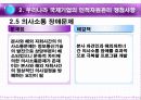 다국적 기업의 인적자원 관리 40페이지