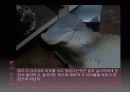 실비아 (Sylvia) 13페이지