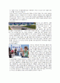 알리안츠 (Allianz) (역사,경영전략,가치,관리,사업분야,실적,생명) 10페이지