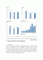 알리안츠 (Allianz) (역사,경영전략,가치,관리,사업분야,실적,생명) 16페이지