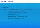 Pharmacy Database System 16페이지
