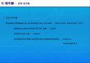 Pharmacy Database System 20페이지