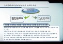 [현대사회와 윤리] 전체론적 환경윤리와 생태중심주의 14페이지