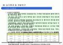 리조트자금유치사업계획서 (리조트 개발 사업계획서) 16페이지