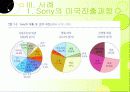 다국적기업의 해외진출전략 34페이지