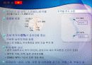 다국적 기업의 현황과 해외 진출 전략 18페이지