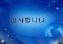 다국적 기업의 현황과 해외 진출 전략 32페이지