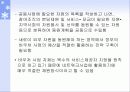 지역사회네트워크와 사례관리 - 토착적 사례관리의 모색- 42페이지